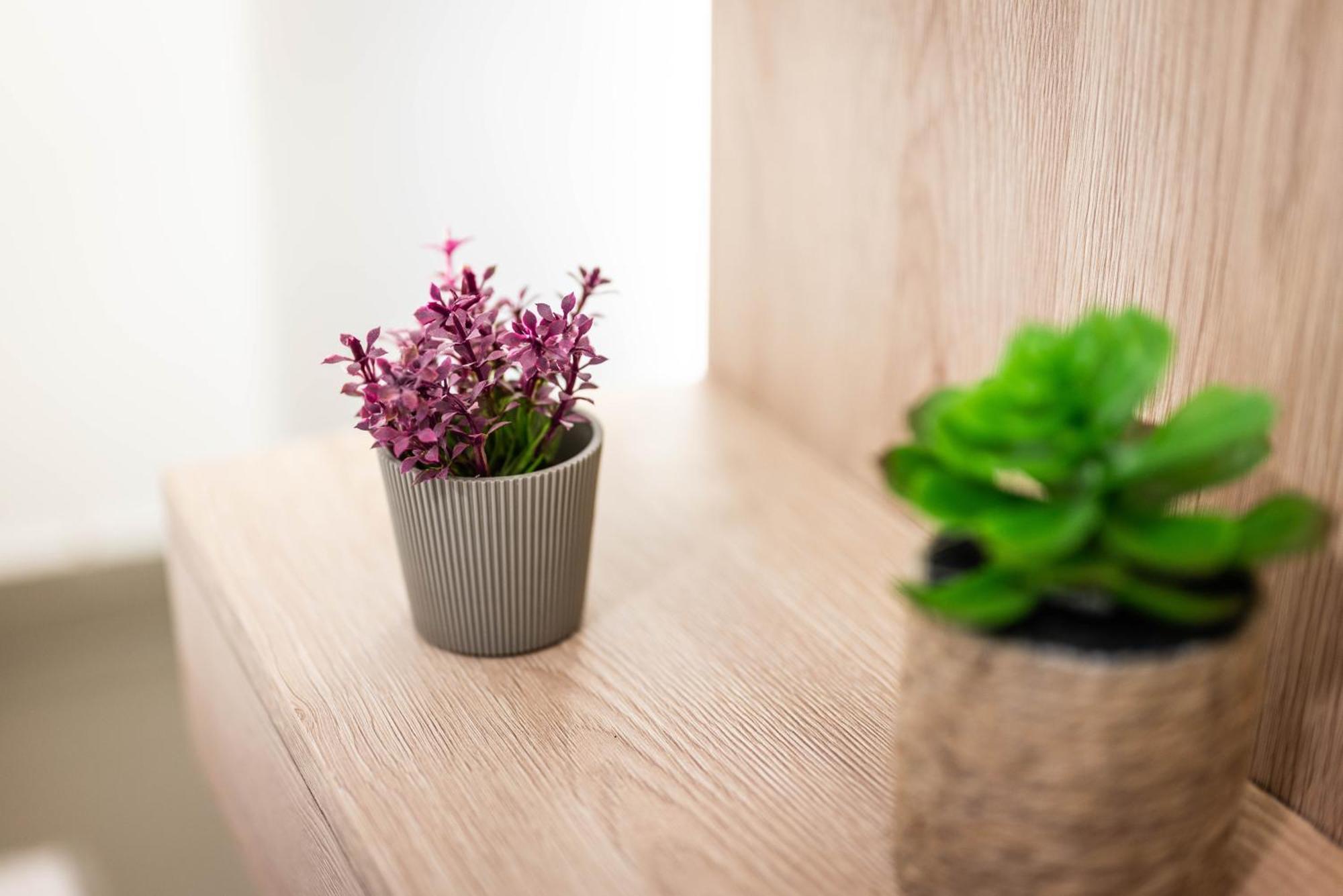Karuc Studio Apartment Cudo Nevidjeno מראה חיצוני תמונה